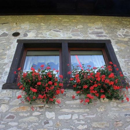 Villa Genziana Ovaro Exterior foto
